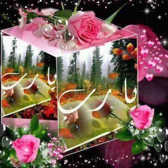 tarek7121966